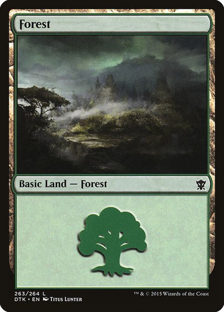 263-forest