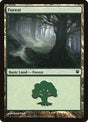 263-forest