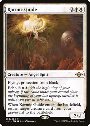 263-karmicguide
