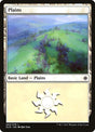 263-plains