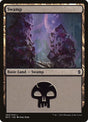 263a-swamp