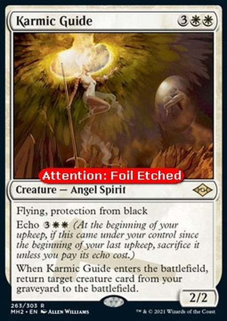 263e-karmicguide