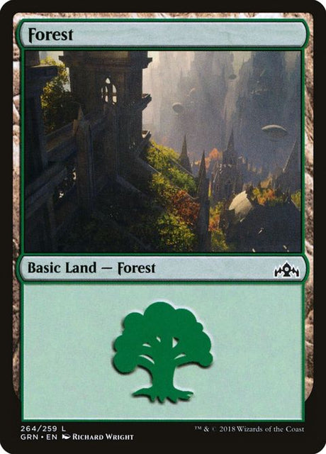 264-forest