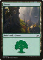 264-forest