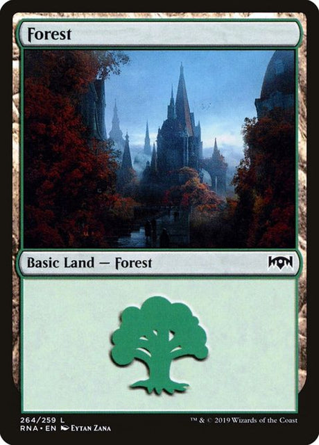 264-forest
