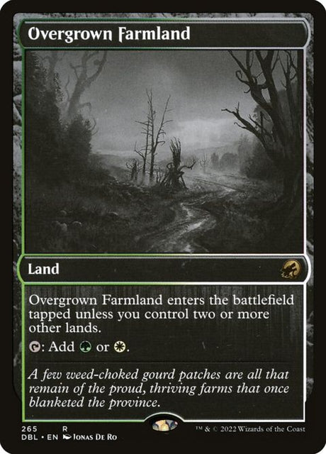 265-overgrownfarmland