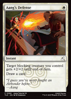 266-aangsdefense