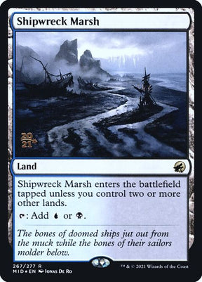 267s-shipwreckmarsh