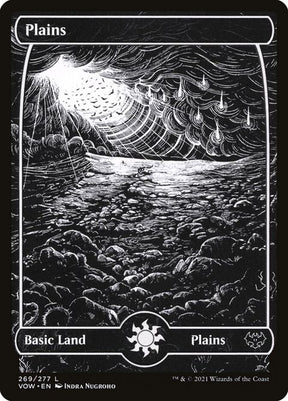 269-plains
