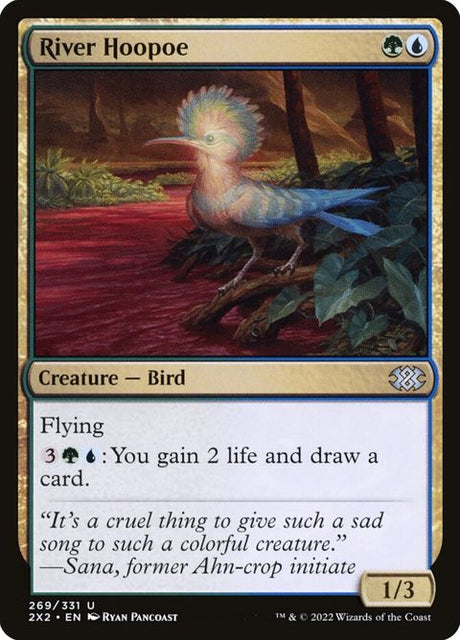 269-riverhoopoe