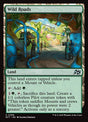 269-wildroads