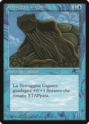 27-gianttortoise