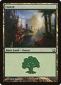 272-forest