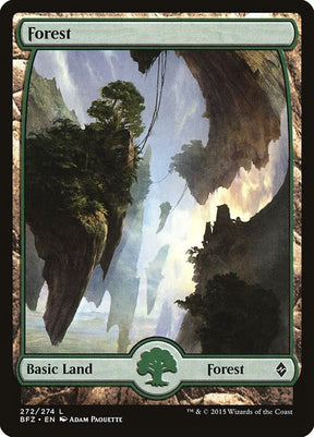 272-forest