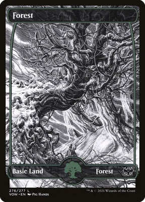 276-forest