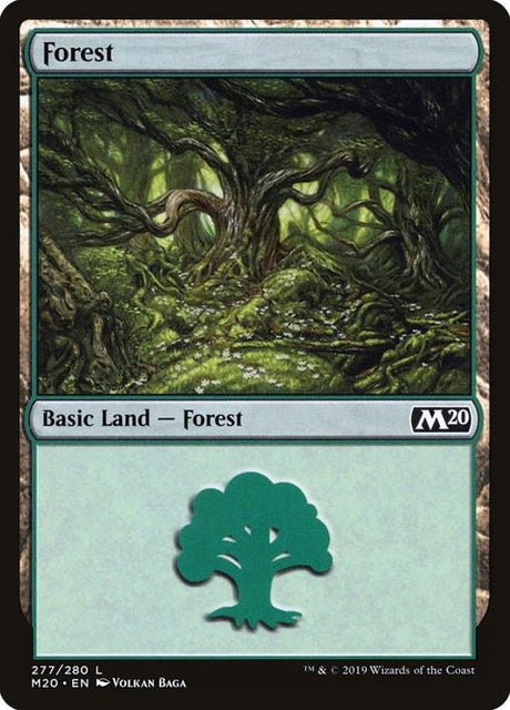 277-forest