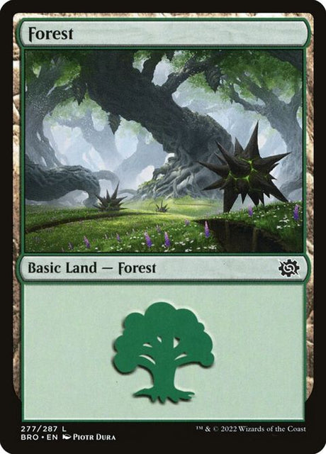 277-forest