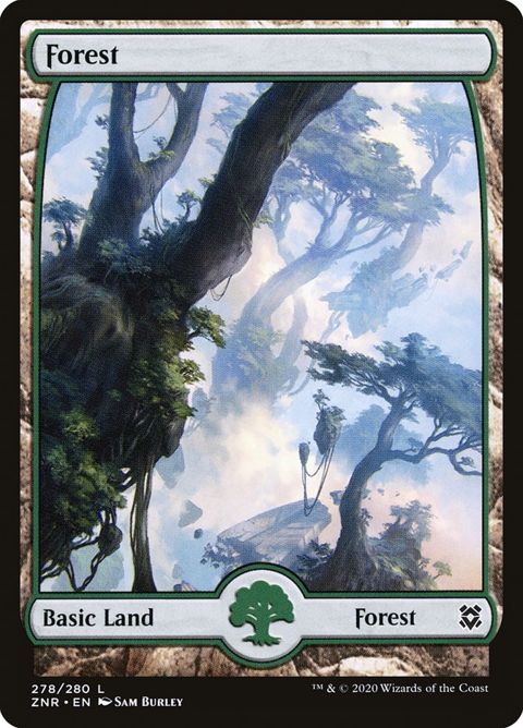 278-forest