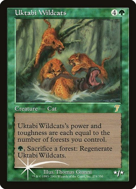 278-uktabiwildcats