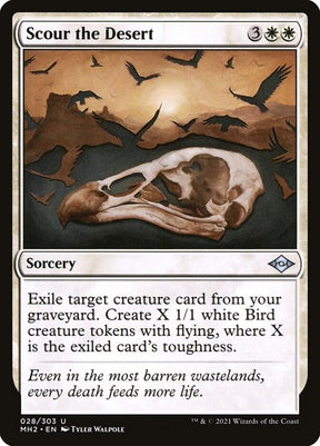 28-scourthedesert