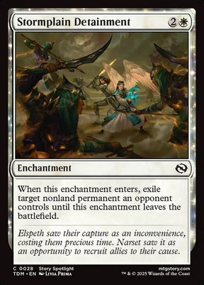 28-stormplaindetainment