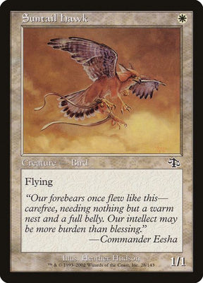 28-suntailhawk