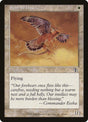28-suntailhawk