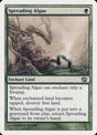 281-spreadingalgae