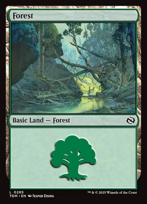 285-forest
