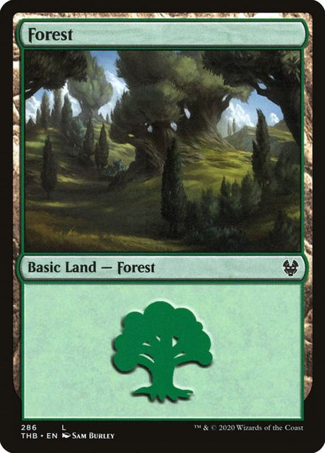 286-forest