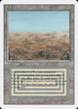 286-scrubland