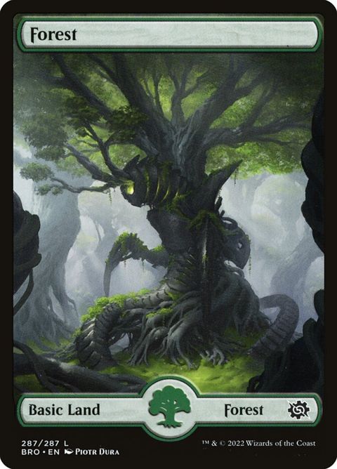 287-forest