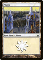 289-plains