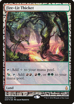 29-firelitthicket