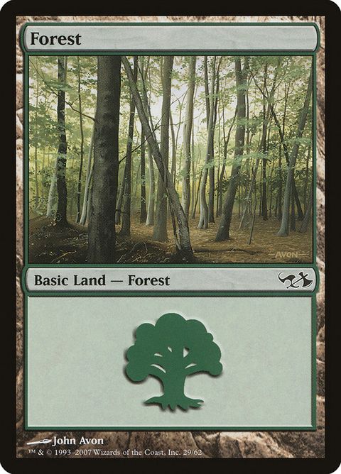 29-forest