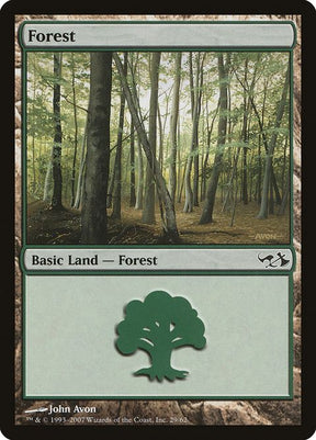 29-forest