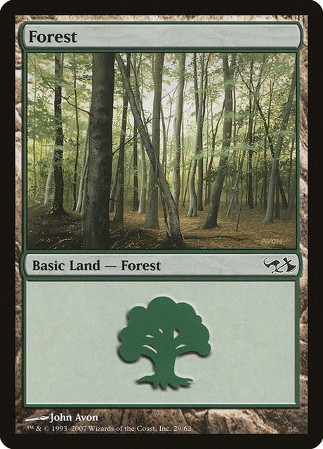 29-forest