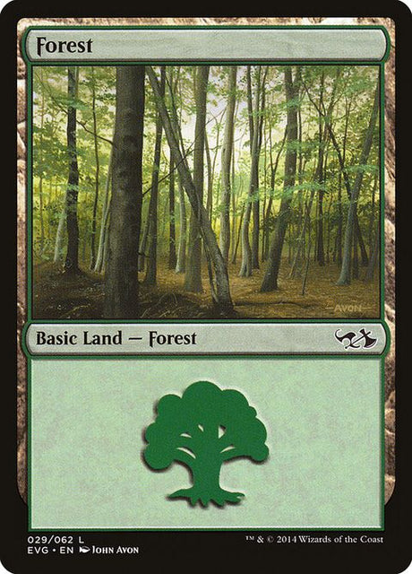29-forest