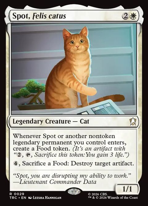29-spotfeliscatus