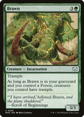 292-brawn