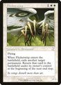 294-flickerwisp