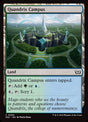 294-quandrixcampus