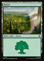 295-forest