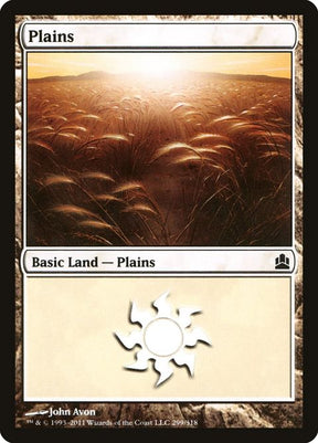 299-plains