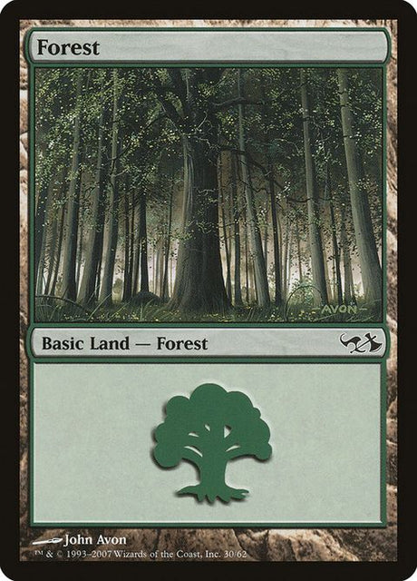 30-forest