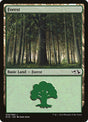 30-forest