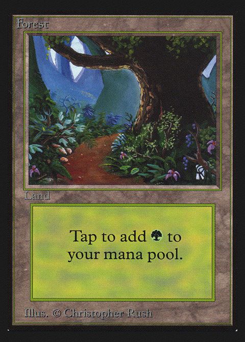301-forest