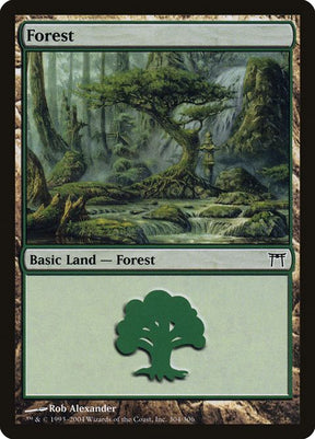 304-forest