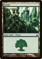 306-forest