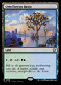308-overflowingbasin